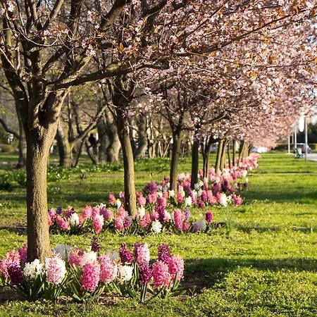 Apartmán Studio Swietojanska