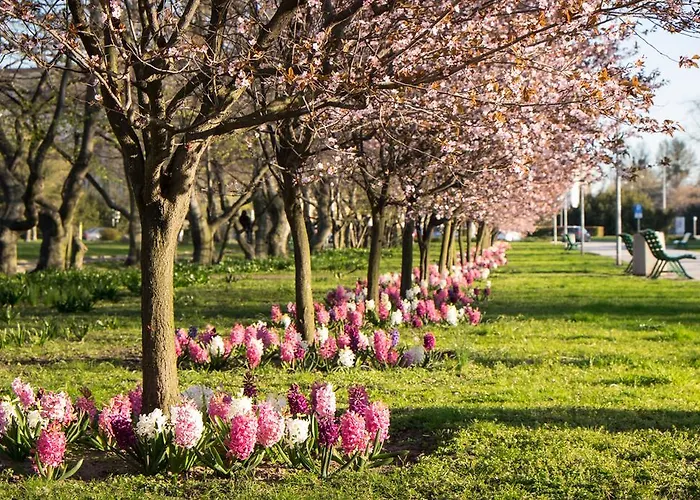 Apartmán Studio Swietojanska